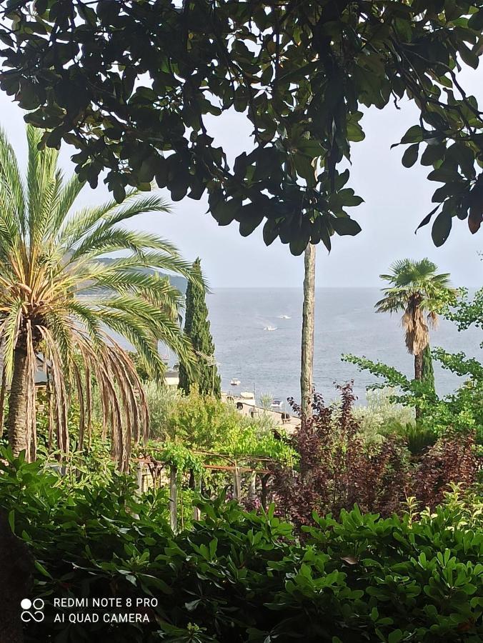 Apartment Cepic Herceg Novi Bagian luar foto